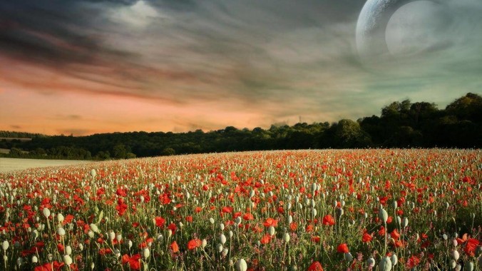 为什么部分人瞧不起深圳？